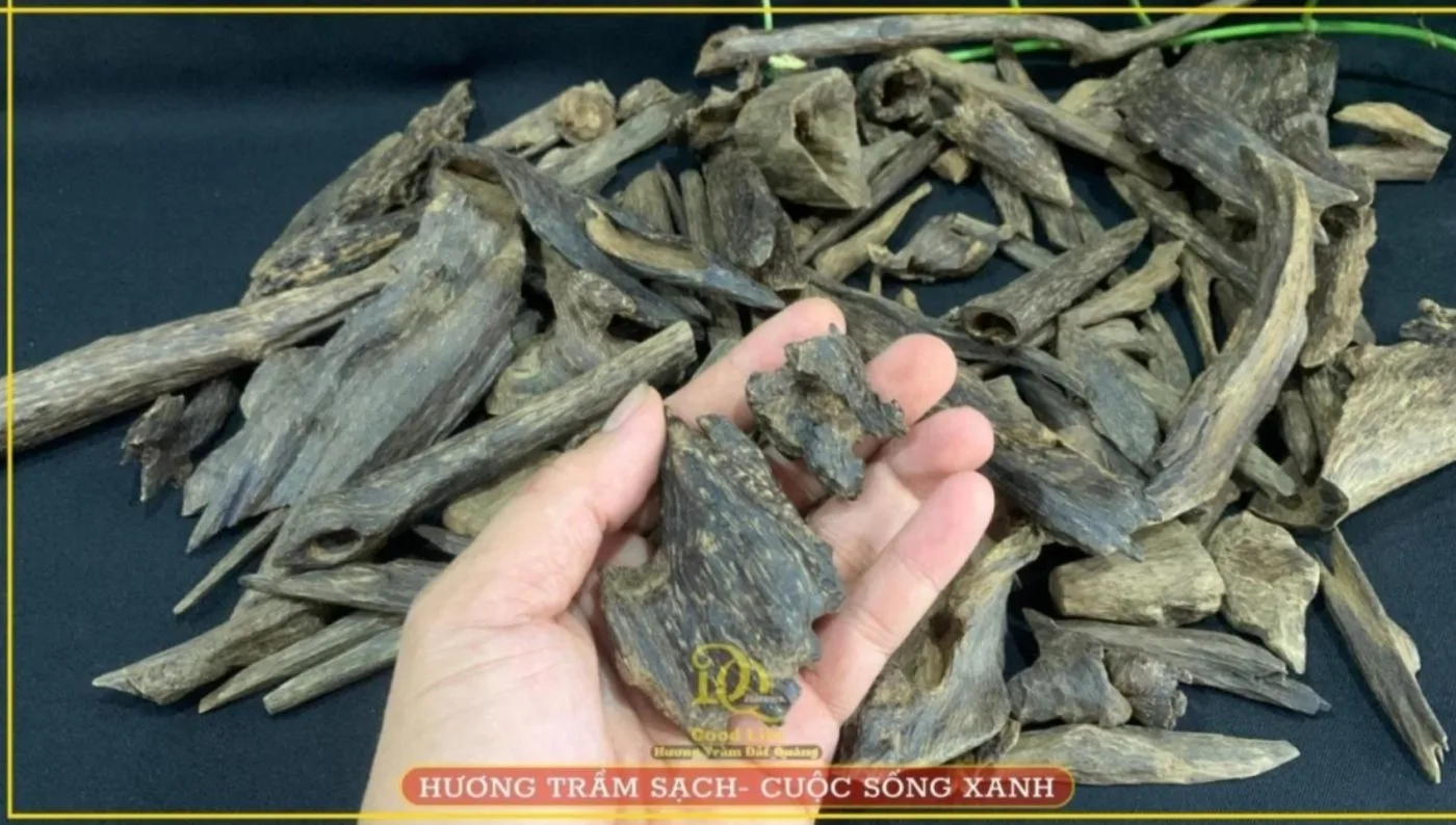 Trầm Hương Gỗ Của Các Vị Thần