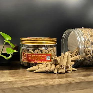 Nụ Đồng Tiền DNR3001